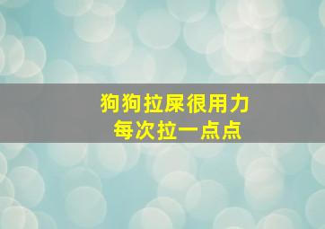 狗狗拉屎很用力 每次拉一点点